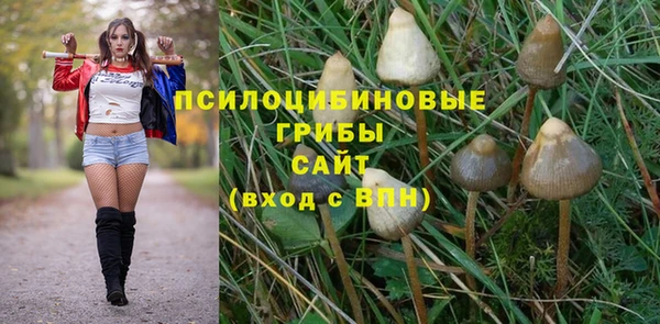 кокс Инсар