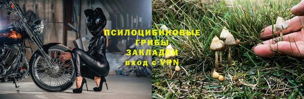 прущая мука Иннополис