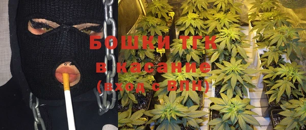 прущая мука Иннополис