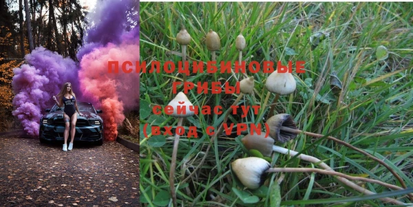 ешки Вуктыл